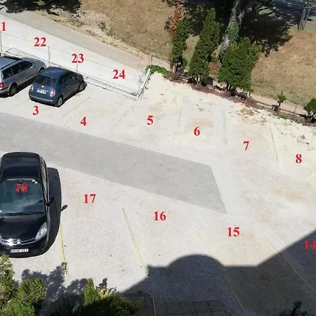 Aqua Haz Panzio 3 Sz *